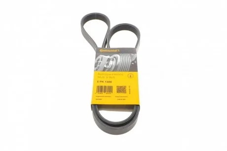 Ремень генератора Passat B5/Audi A4/A6 1.6/1.8 95> CONTITECH Contitech 5PK1300
