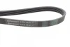 Пас поліклиновий VW Passat B5/Audi A4/A6 1.9TDI 98 Contitech 5PK1432 (фото 2)