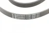 Ремень генератора BMW 3 (E46)/5 (E39)/X5 3.0D CONTITECH Contitech 5PK2060 (фото 4)