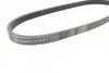 Ремень генератора 5PK 813 BMW 3/5/7 CONTITECH Contitech 5PK813 (фото 2)