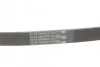 Ремень генератора BMW 3/5/7 CONTITECH Contitech 5PK865 (фото 3)