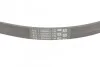 Доріжковий пас Contitech 5PK868ELAST (фото 3)
