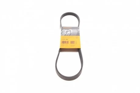 Доріжковий пас Contitech 5PK906