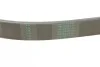 Доріжковий пас Contitech 6PK1010 (фото 3)