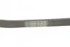 Ремінь приводний полікліновий Contitech 6PK1019ELAST (фото 3)