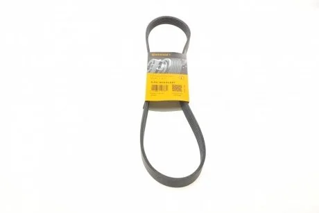 Ремень приводной поликлиновый Contitech 6PK1019ELAST
