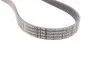 Ремень приводной поликлиновый Contitech 6PK1029ELAST (фото 2)