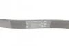 Ремінь приводний поліклінової Contitech 6PK1042 ELAST (фото 3)