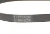 Ремінь приводний агрегатів 6PK1043 / 1045 Contitech 6PK1045 (фото 3)