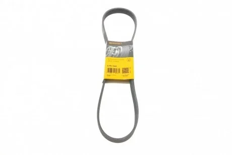 Ремень приводной агрегатов 6PK1043 / 1045 Contitech 6PK1045