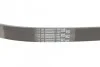 Ремень приводной поликлиновый Contitech 6PK1050 (фото 3)