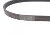 Доріжковий пас Contitech 6PK1059 ELAST (фото 2)