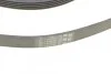Пас поліклиновий Ford Focus 1.4/1.6i 03-/Volvo C30 Contitech 6PK1059 ELAST T2 (фото 4)