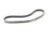 Пас поліклиновий Ford Focus 1.4/1.6i 03-/Volvo C30 Contitech 6PK1059 ELAST T2 (фото 5)