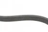 Пас поліклиновий Ford Focus 1.4/1.6i 03-/Volvo C30 Contitech 6PK1059 ELAST T2 (фото 6)