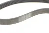 Пас поліклиновий Ford Focus 1.4/1.6i 03-/Volvo C30 Contitech 6PK1059 ELAST T2 (фото 8)