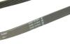 Дорожечный пас Contitech 6PK1073EXTRA (фото 4)