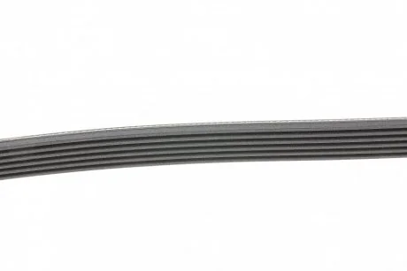 Ремінь генератора Scudo/Expert/Berlingo 1.9D/TD 96> (PS,-AC) CONTITECH Contitech 6PK1110