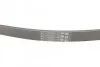 Ремінь генератора Kangoo/Master 1.9dCi/dTi/ CADDY 1.4 96>04 Contitech 6PK1125 (фото 3)
