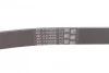 Ремень приводной поликлиновый Contitech 6PK1230 (фото 2)