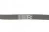 Ремінь приводний поліклінової Contitech 6PK1256 (фото 3)