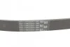 Ремень приводной поликлиновый Contitech 6PK1264 (фото 3)