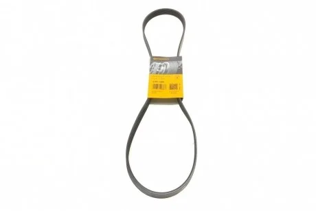 Ремінь генератора Ford Focus CONTITECH Contitech 6PK1306