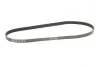 Ремінь генератора Ford Focus CONTITECH Contitech 6PK1306 (фото 5)