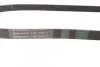 Ремінь генератора Berlingo/Partner 1.6HDI (-AC) ch.10571> CONTITECH Contitech 6PK1360 (фото 2)