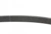 Доріжковий пас Contitech 6PK1502 EXTRA (фото 2)