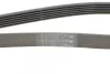 Доріжковий пас Contitech 6PK1502 EXTRA (фото 3)