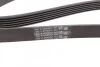 Ремень генератора Golf IV/BMW/Ford/Opel CONTITECH Contitech 6PK1538 (фото 3)