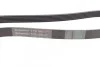 Поликлиновой ремень BMW 1 (E81) 116 d Contitech 6PK1605 (фото 2)