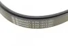Поликлиновой ременный комплект (Пр-во) Contitech 6PK1613K1 (фото 4)