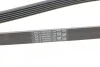 Ремень генератора LT 2.8 02> CONTITECH Contitech 6PK1680 (фото 4)