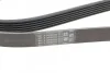 Ремень генератора Jumper 1.9TD 94>02 ALT, PS, AC CONTITECH Contitech 6PK1705 (фото 4)