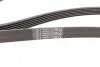 Ремінь генератора Audi/BMW/Skoda/VW CONTITECH Contitech 6PK1733 (фото 2)