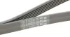 Ремень генератора W202/210 Kompr. M111 (PS) Contitech 6PK1775 (фото 3)