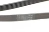Ремінь генератора Combo 1.2/1.4i CONTITECH Contitech 6PK1800 (фото 3)