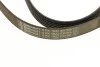 Поликлиновой ремень Contitech 6PK1822EXTRA (фото 4)