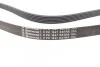 Ремень приводной поликлиновой Contitech 6PK1847 EXTRA (фото 2)