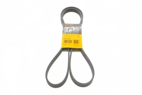 Ремень генератора A4/T4 2.0/2.4 95- CONTITECH Contitech 6PK1870