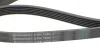 Ремень приводной поликлиновый DAEWOO Nubira 2.0 16V Contitech 6PK1905 (фото 3)