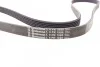 Ремінь генератора BMW 3/5/7/X3/X5 2.5/3.0i 04- CONTITECH Contitech 6PK1990 (фото 3)