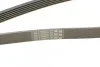 Ремень приводной поликлиновой Contitech 6PK2035 (фото 4)