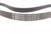 Ремень приводной поликлиновый Contitech 6PK2135 (фото 2)