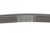 Ремень генератора W202/210/Sprinter ОМ611/612 (PS,AC) CONTITECH Contitech 6PK2264 (фото 3)