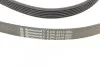 Ремень генератора W202/210 M112/113 97> (WP,PS) CONTITECH Contitech 6PK2310 (фото 3)
