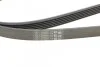 Ремень генератора W202/210 M112/113 97> (WP,PS) CONTITECH Contitech 6PK2310 (фото 4)