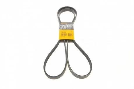 Ремінь генератора W202/210 M112/113 97> (WP,PS) CONTITECH Contitech 6PK2310